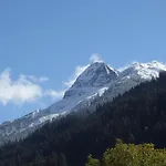 Arlberghome Komfort-apartments & Privat-sauna Wald am Arlberg