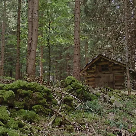 Arlberghome Komfort-apartments & Privat-sauna Lägenhet *