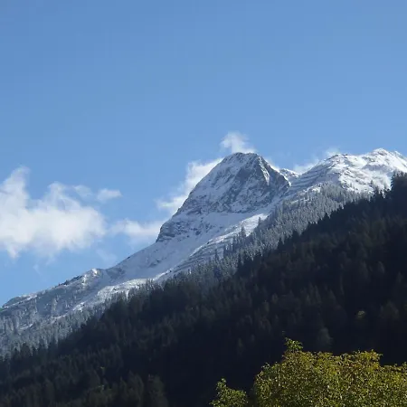 Arlberghome Komfort-apartments & Privat-sauna Wald am Arlberg