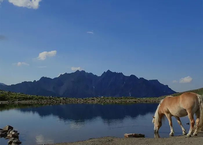 Arlberghome Komfort-apartments & Privat-sauna Апартаменты Вальд-ам-Арльберг