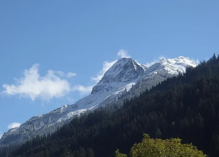 Arlberghome Komfort-apartments & Privat-sauna Вальд-ам-Арльберг